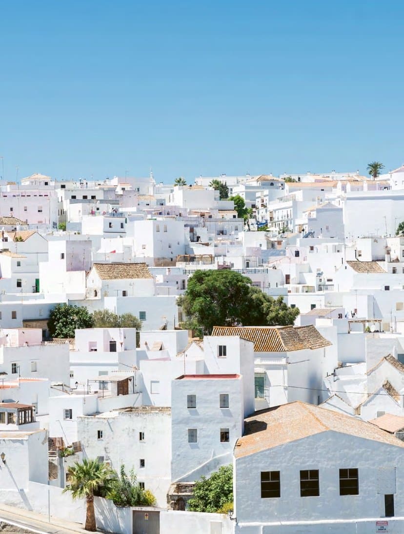 Wit Andalusisch dorp met dicht op elkaar gebouwde huizen